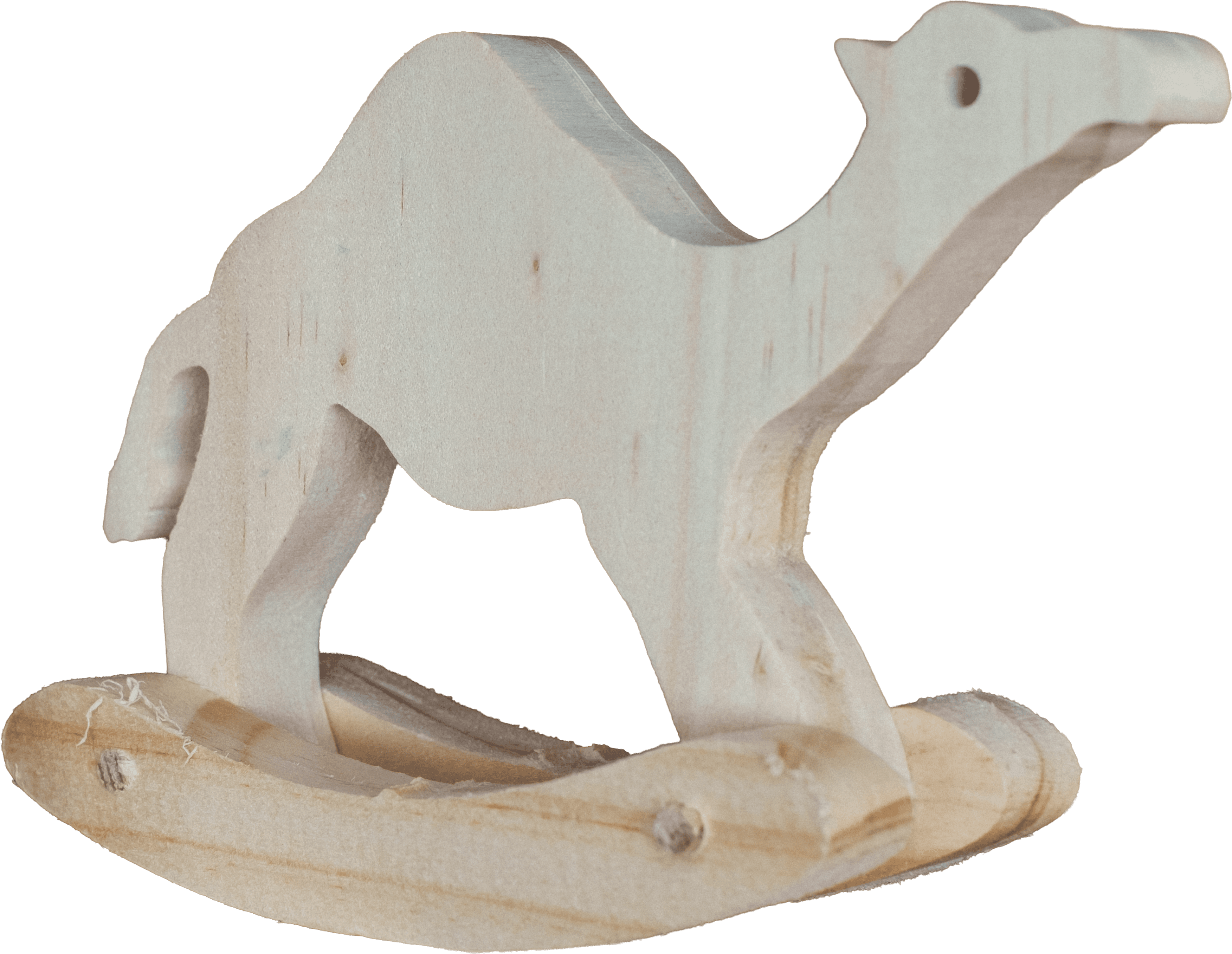 Camel