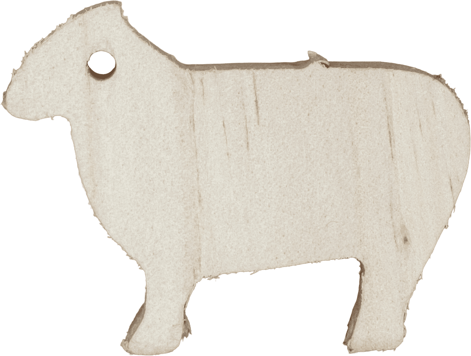 Sheep