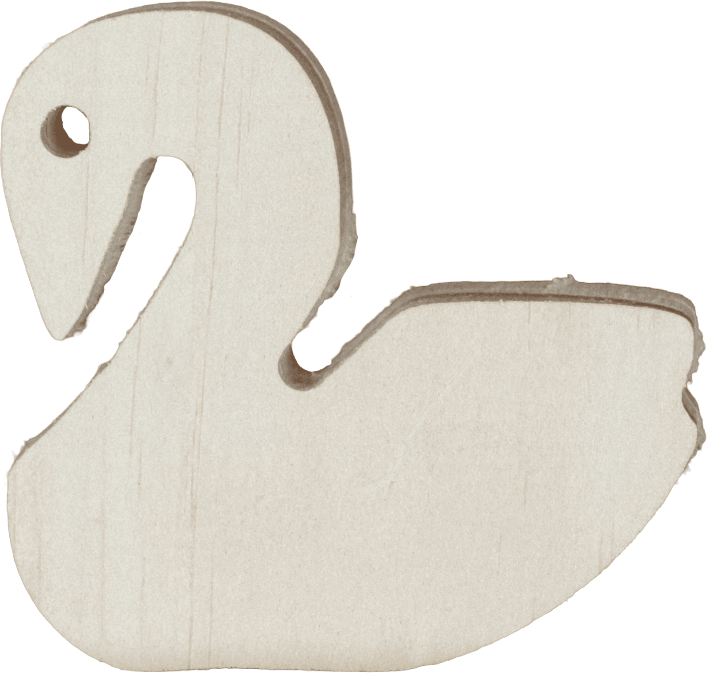 Swan