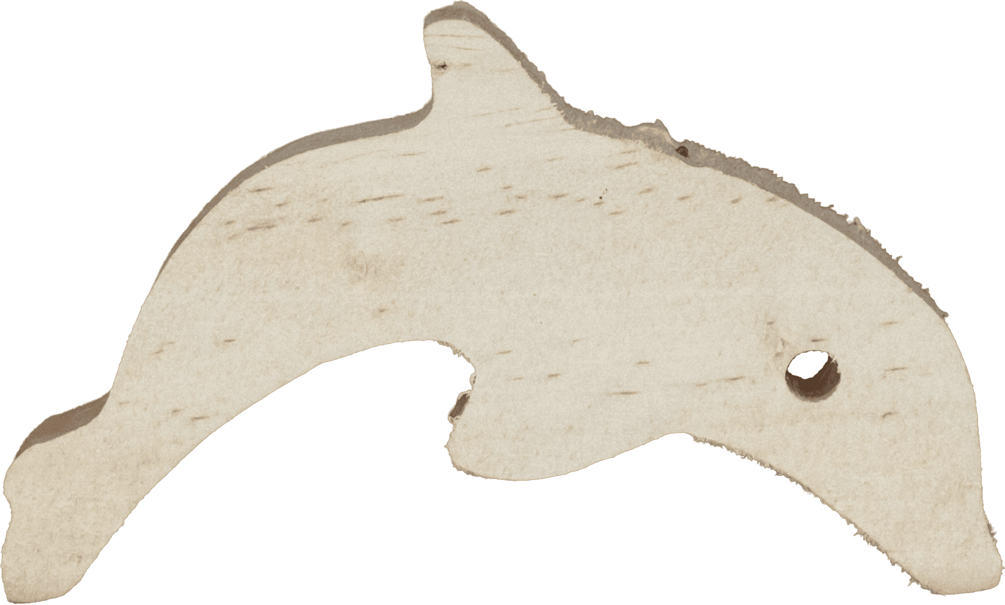 Dolphin