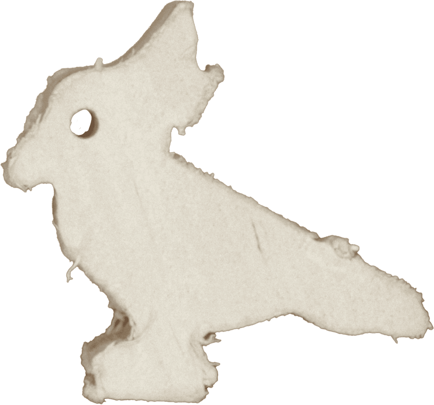 Cockatoo